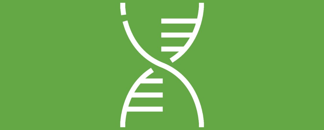 DNA line drawing